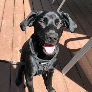 Meet your Posher, Teresa